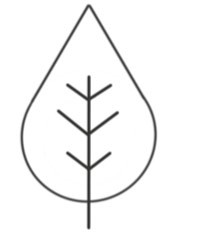 feu pictogramme feuille